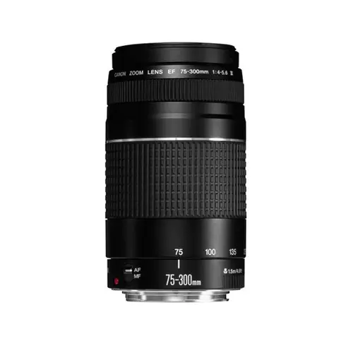 Canon EF 4-5,6/75-300 mm III Objektiv