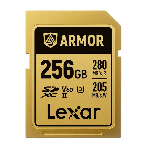 Lexar Armor Pro Gold 256 GB SDXC V60 (280/205 MB/s) Speicherkarte
