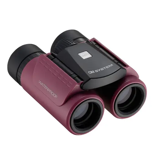 OM SYSTEM 8x21 RC II WP magenta Fernglas