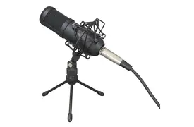 Tascam TM-70 Dynamisches Mikrofon für Podcasting