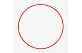 Olympus POL-053 O-Ring für PT-056 Unterwassergehäuse