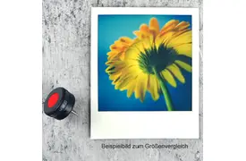 MINT Self(ie) Timer (SX70/SLR670/SLR680)