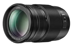 Panasonic Lumix G Vario 4,0-5,6/100-300 mm OIS II Objektiv