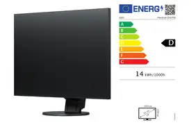 Eizo EV2456-BK FlexScan 61 cm (24,1') sw Office-Monitor"