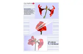 Olympia Laminierfolien DIN A4, 125 mic, VE=100